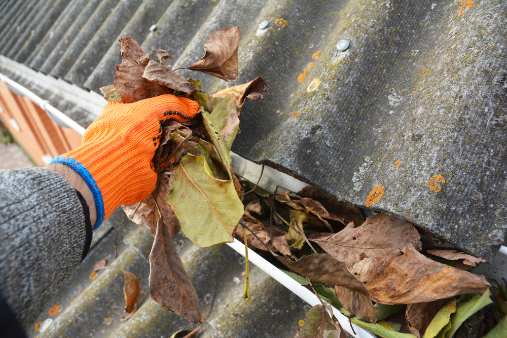 Professional worker cleaning out a gutter