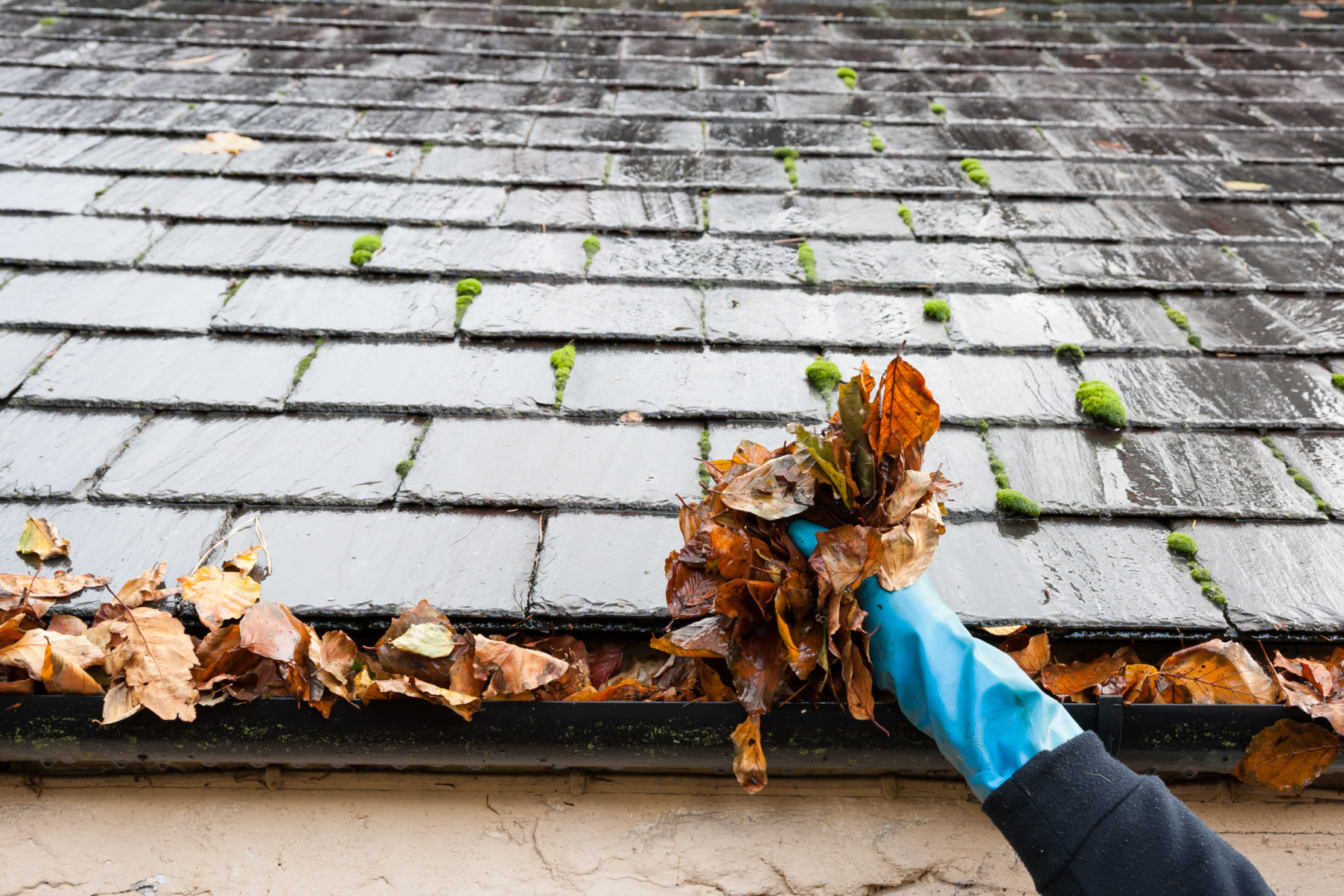 Why Cleaning Out Your Gutters During the Fall is Important