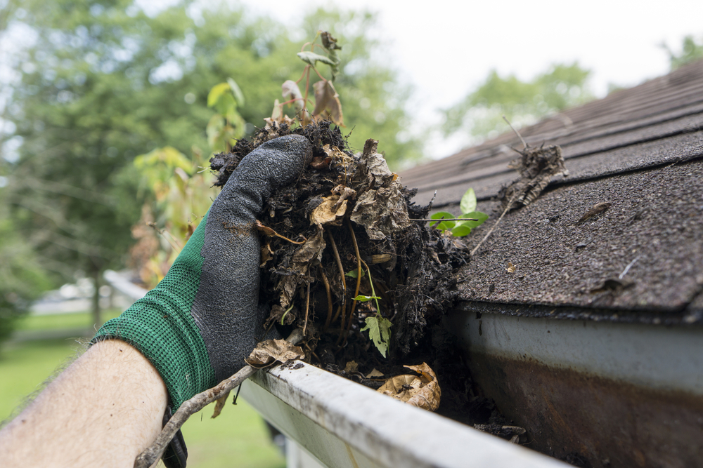 What Happens if I Don’t Get My Gutters Professionally Cleaned?